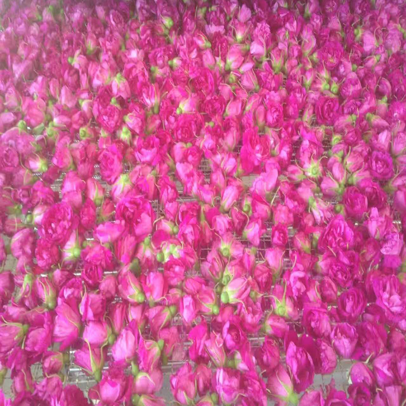 玫瑰花烘干烘干項目