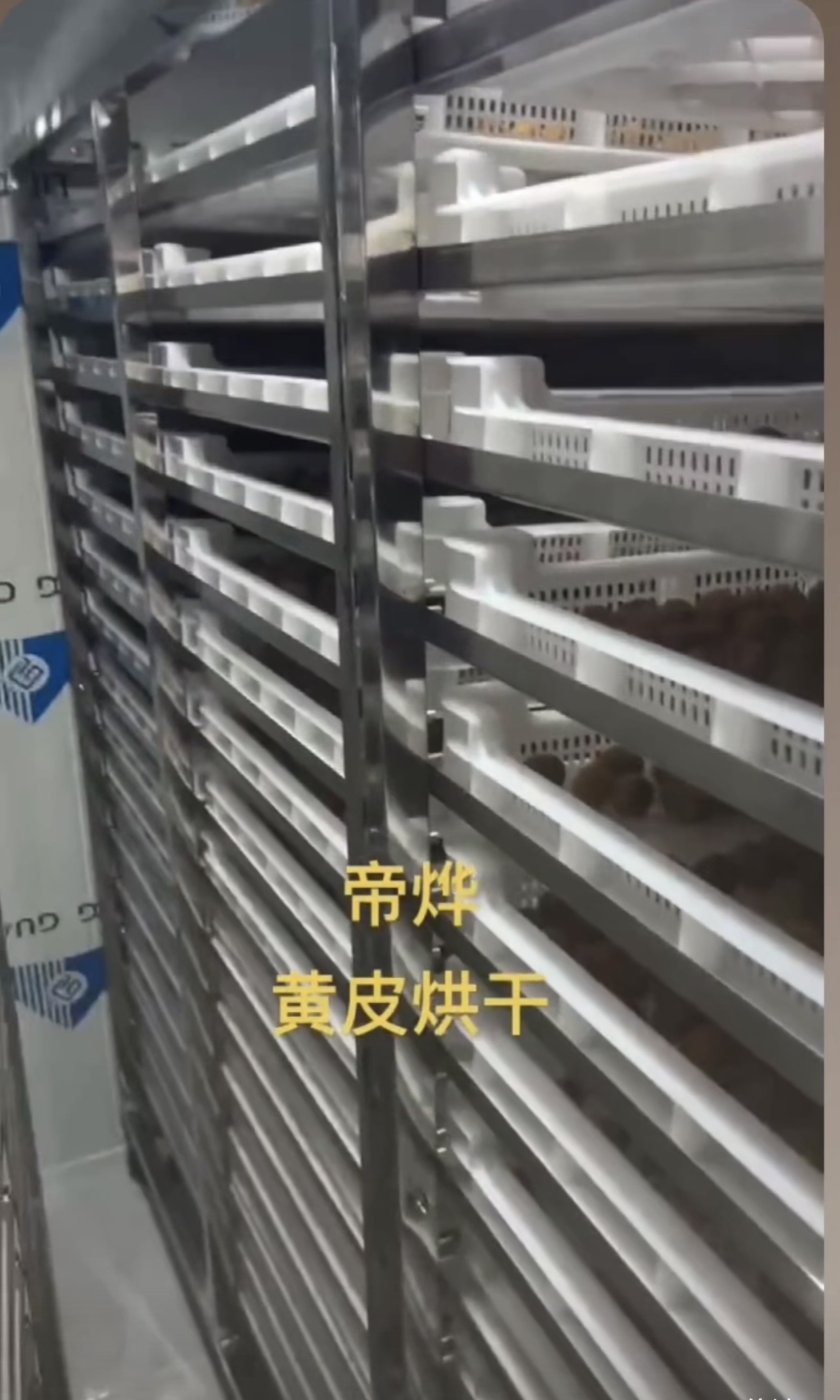 黃皮烘干項目