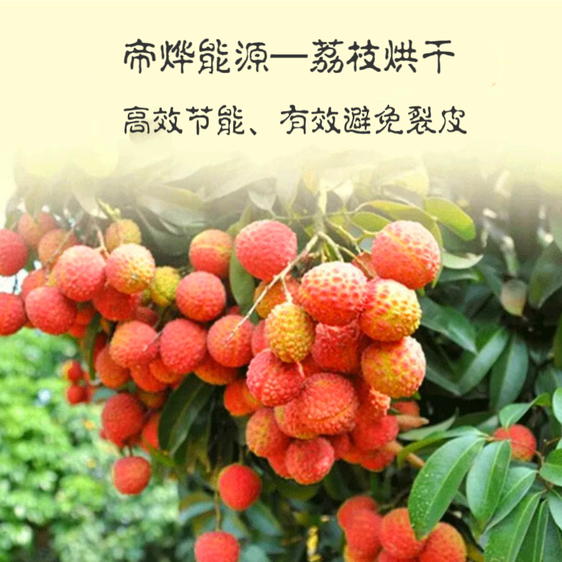 fe8e9723be428440c7e09f479a99e72.png