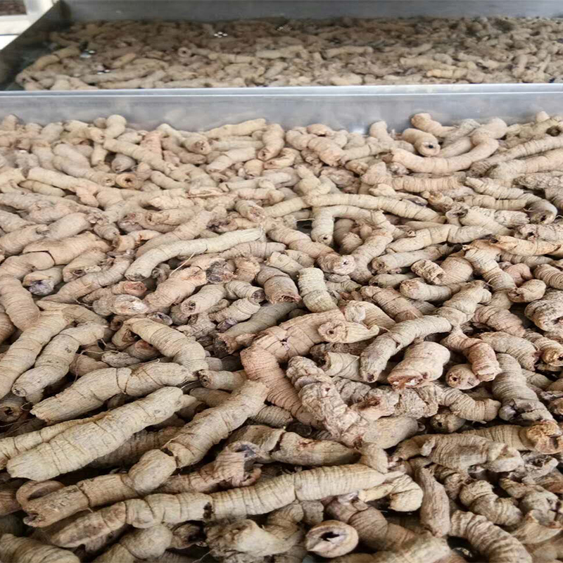 藥材烘干的一次烘干和二次烘干差別在哪里？