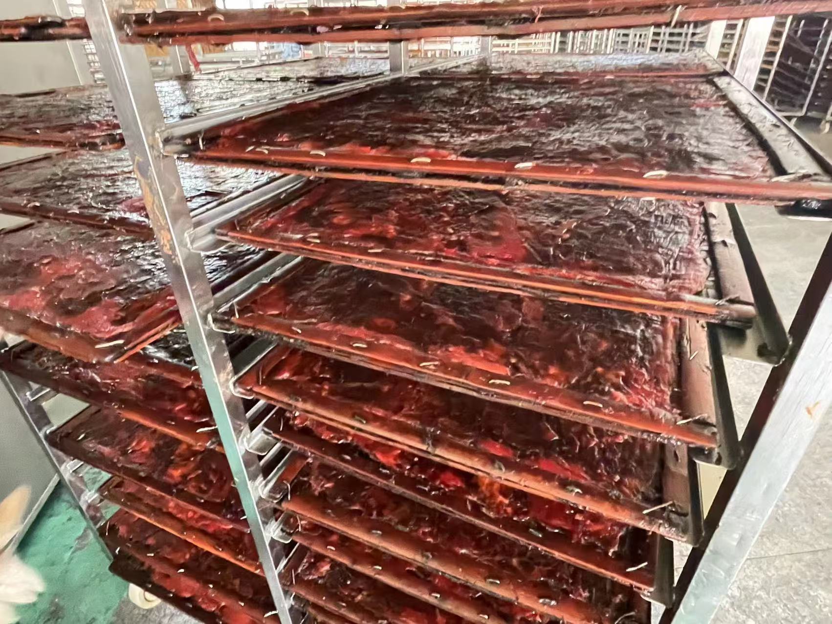帝燁福建肉脯的烘干項(xiàng)目