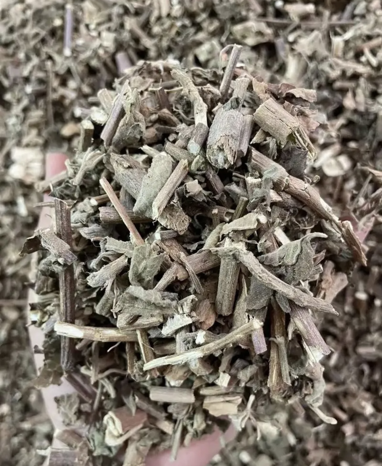 藿香烘干項目
