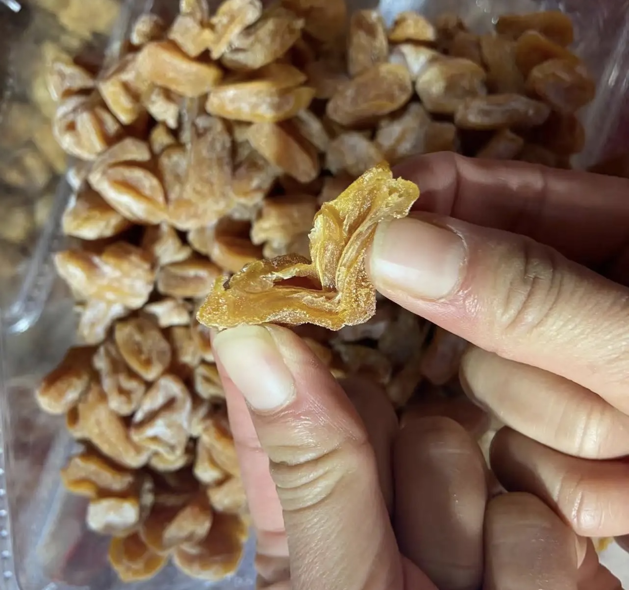 黃皮烘干項目