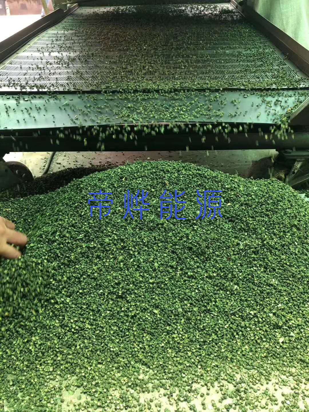 空氣能熱泵烘干機(jī)，為花椒產(chǎn)業(yè)助力——花椒烘干項(xiàng)目