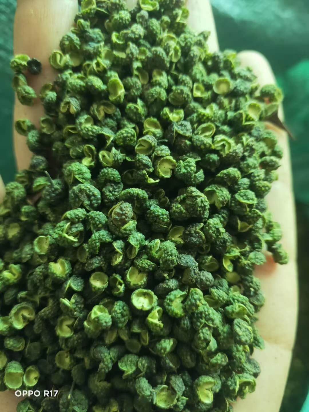 花椒烘干不將就：熱泵鎖住 99% 的山野麻香