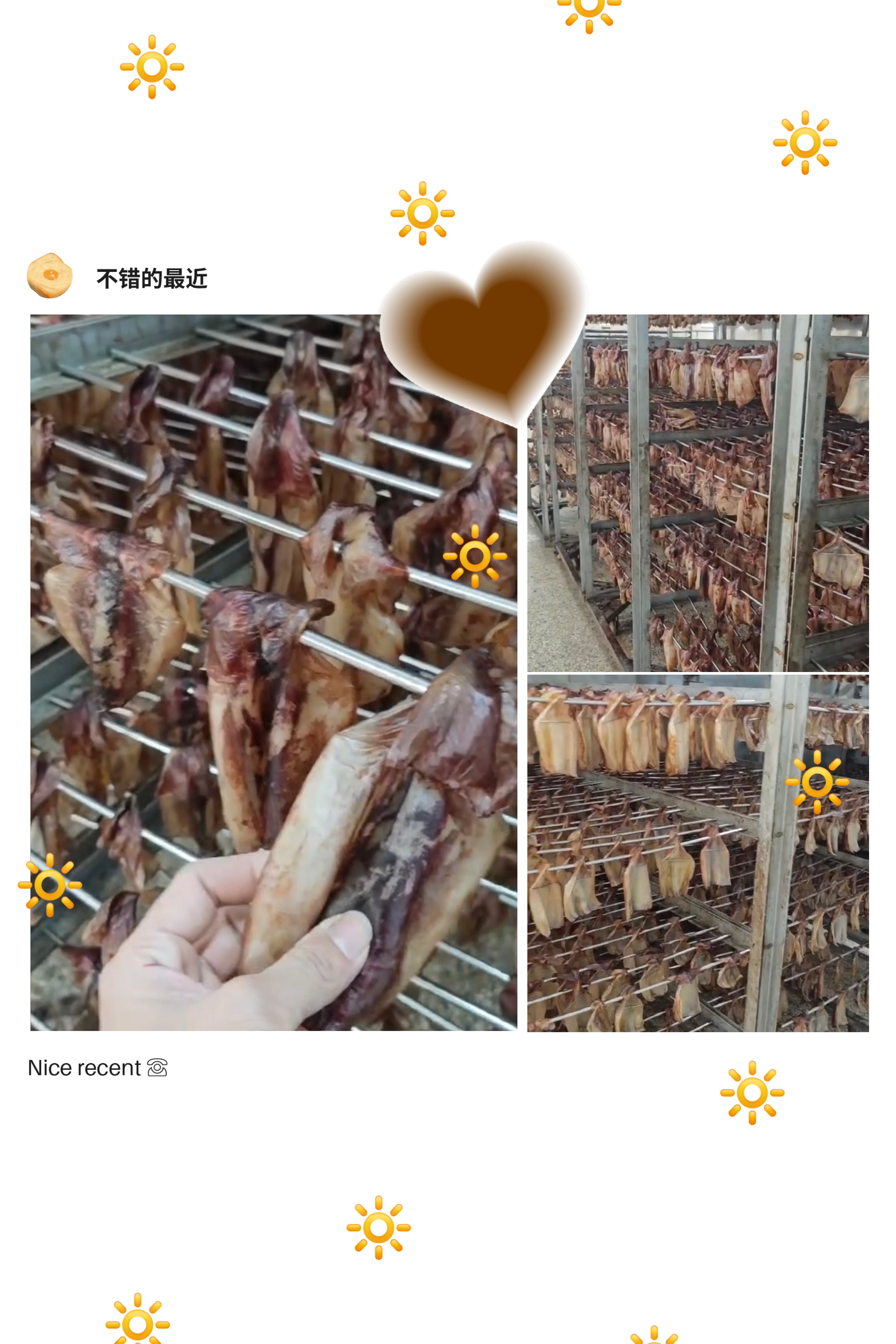 舟山，魷魚烘干