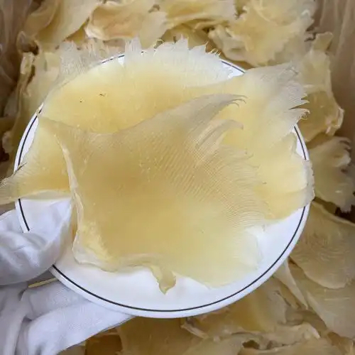 潮州魚翅烘干項目