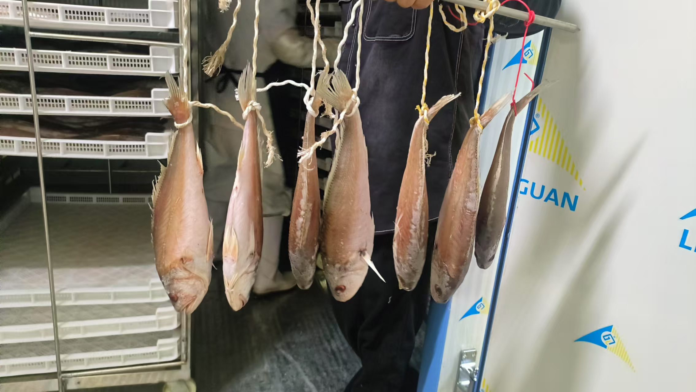 帝燁烘干機(jī)—韓國釜山海魚烘干項(xiàng)目