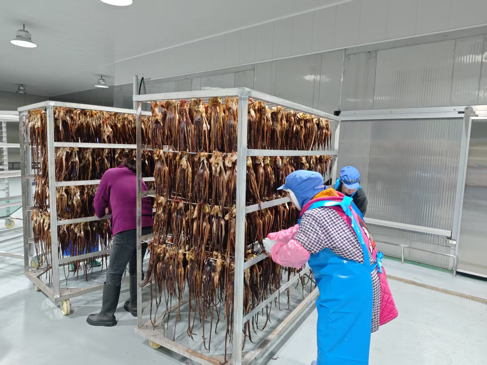 魷魚熱泵烘干：節(jié)能、高效、環(huán)保三重奏