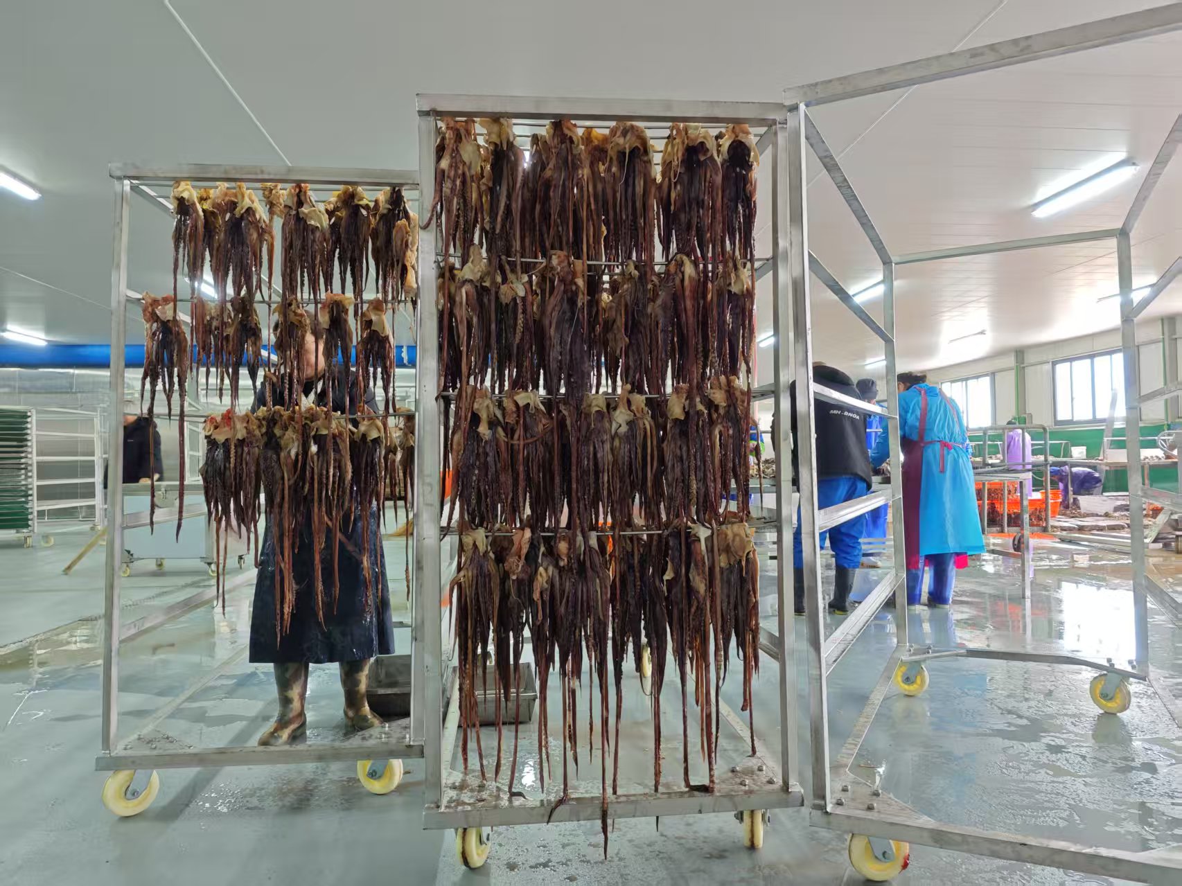 魷魚(yú)熱泵烘干：節(jié)能、高效、環(huán)保三重奏