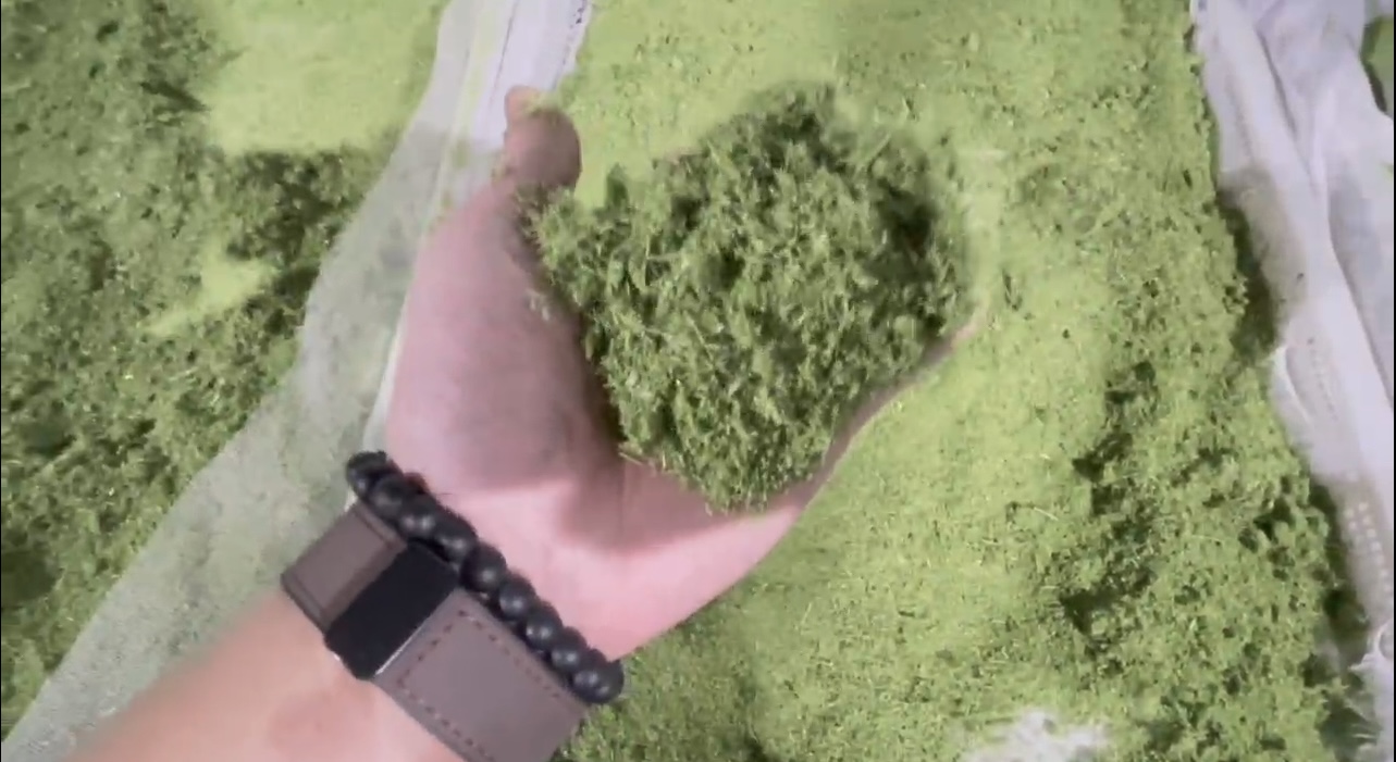 牧草烘干：含水量從80%降至15%以下，保持翠綠不變色。