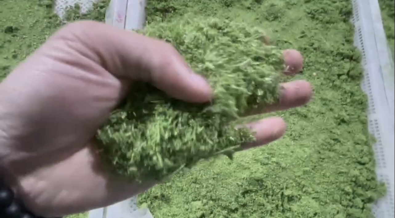 牧草烘干：含水量從80%降至15%以下，保持翠綠不變色。