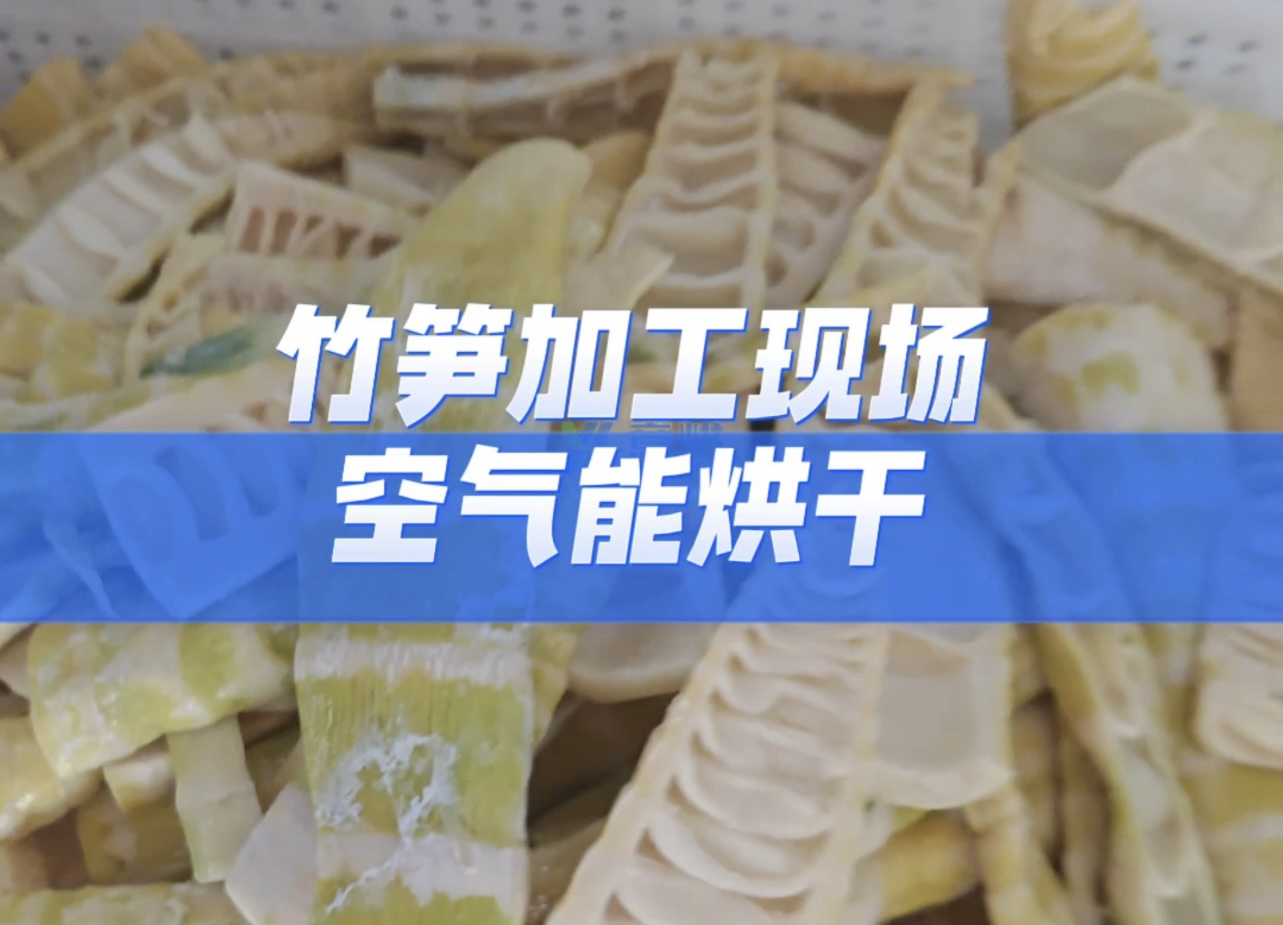 熱泵烘干竹筍：精準控溫鎖脆嫩，品質穩定