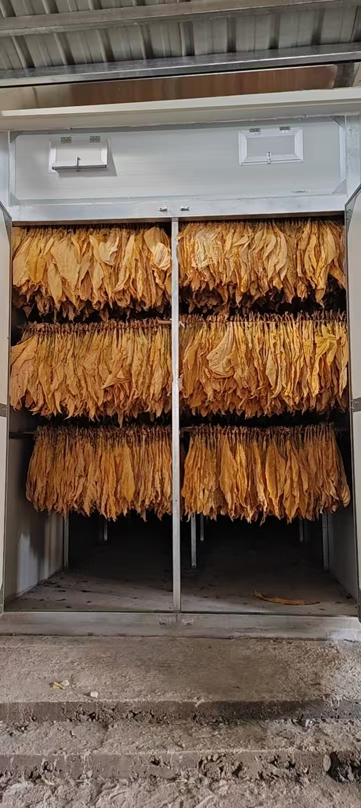 煙草烘干：客戶反饋效果非常好