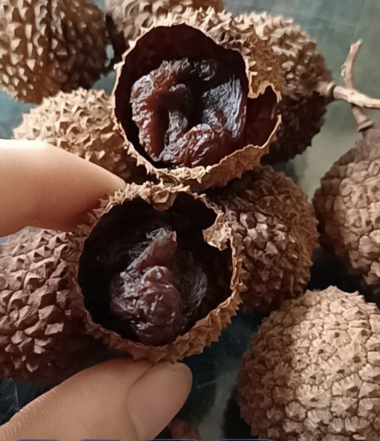 帝燁能源——高州荔枝烘干項目