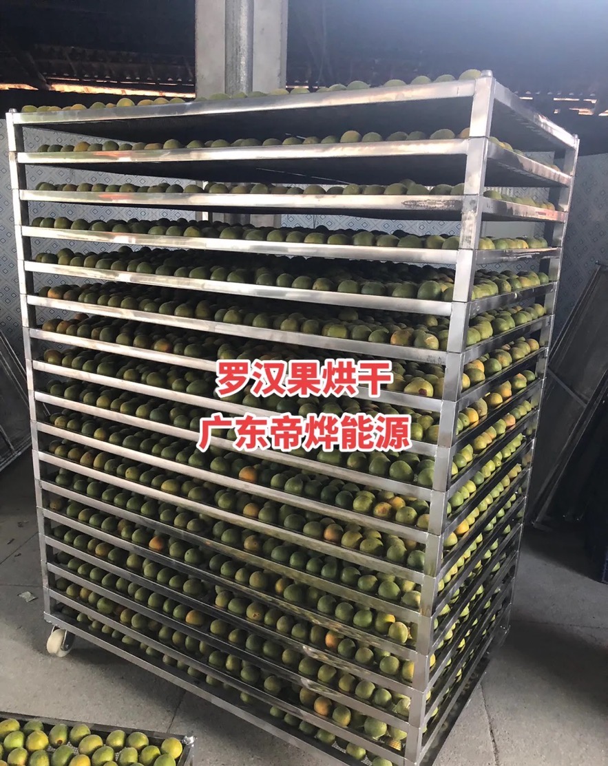 羅漢果烘干項目