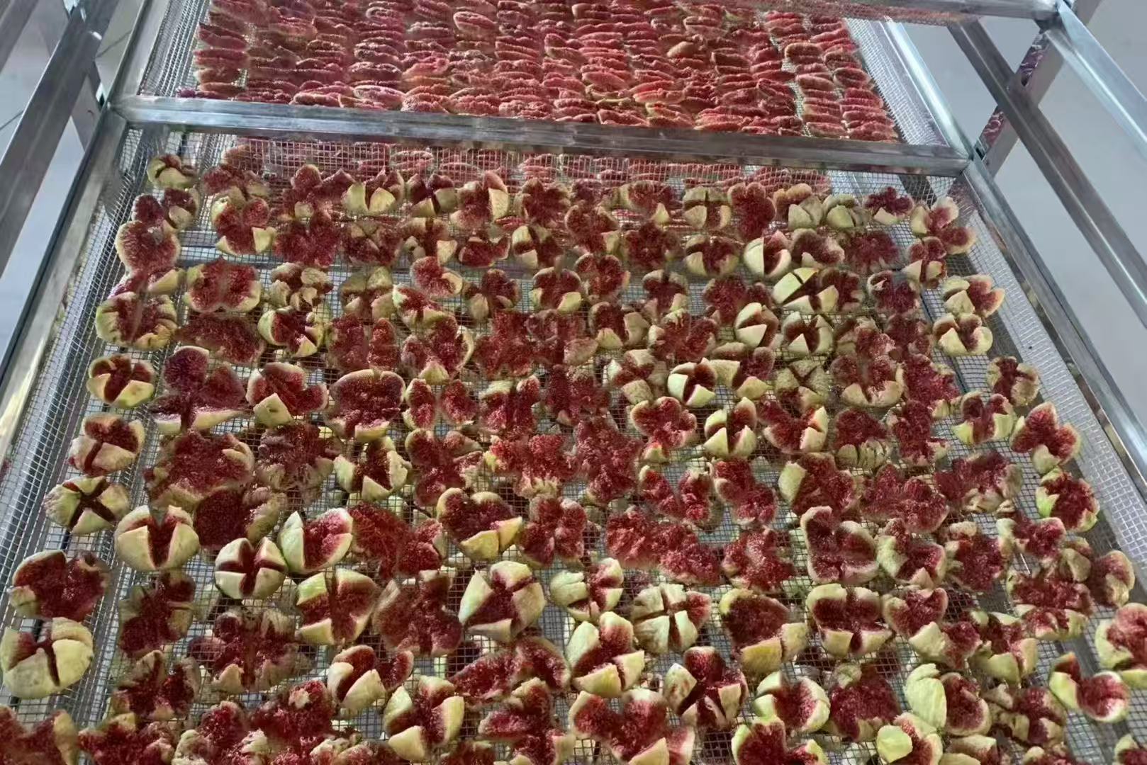 無(wú)花果烘干新方案：空氣能控溫，顆顆蜜心不焦邊